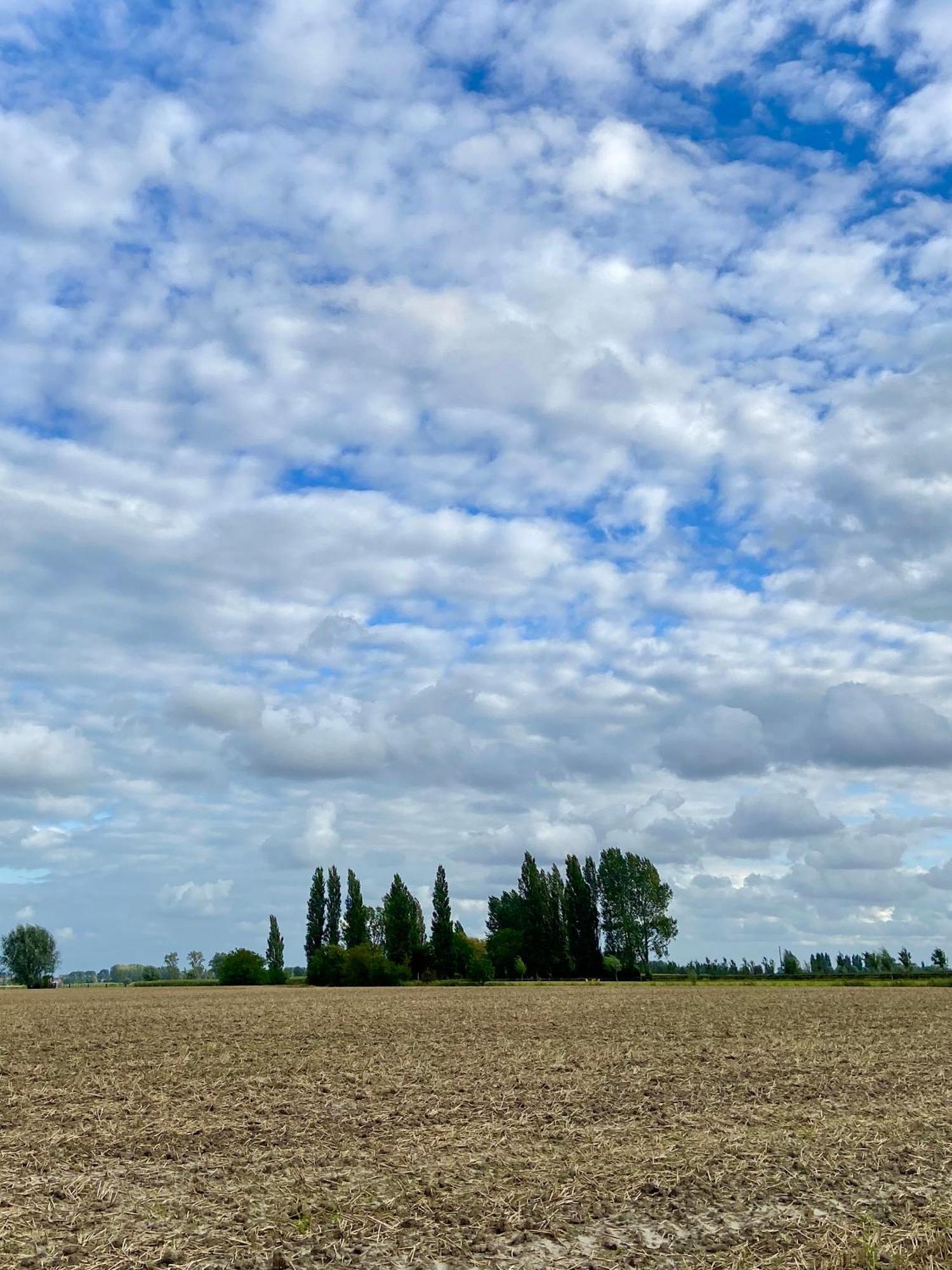 Gastenverblijf 'T Landsheertje Furnes Extérieur photo